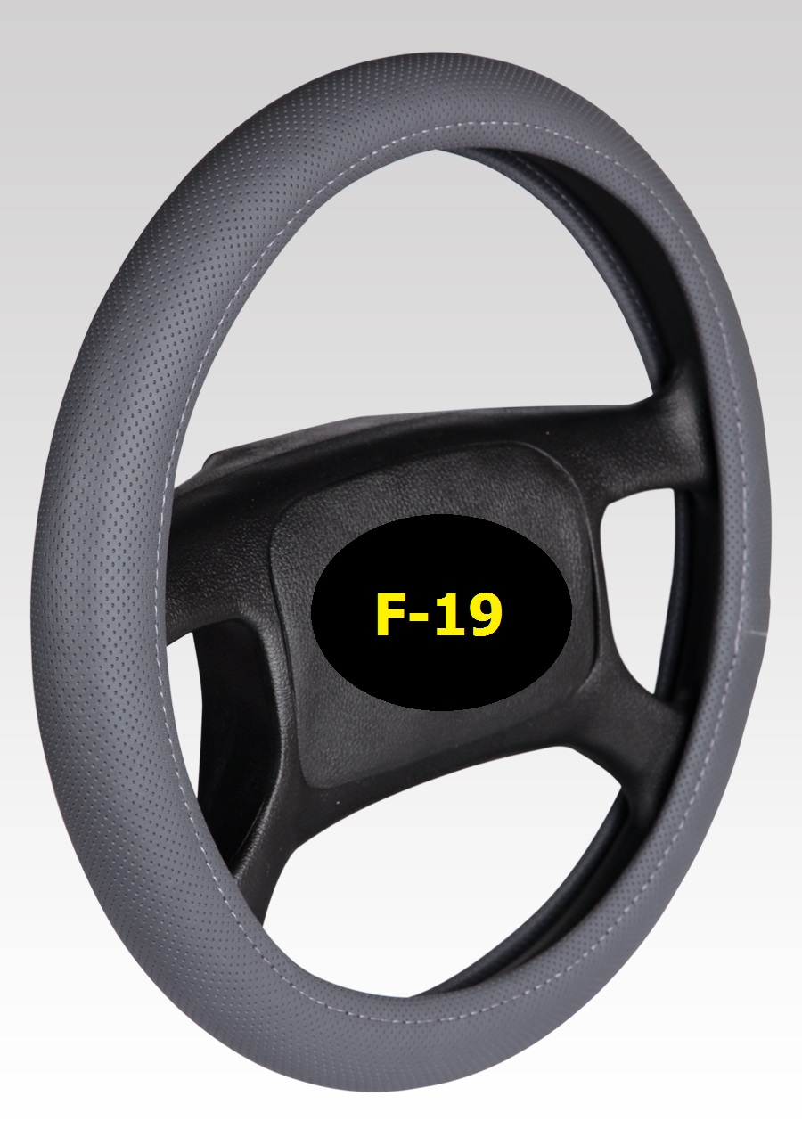 Steering wheel Eco , F-19
